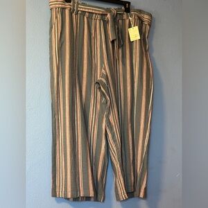 A.N.A. a new approach Blue Erica Stripe Belted Pockets Wide Legs Pants 2X